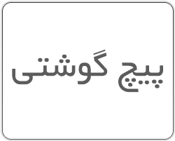 پیچ گوشتی